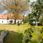 Zajęcia Tai Chi od września