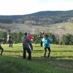 tai chi joga i zumba