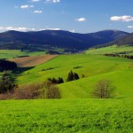 Koncerty mis kryształowych