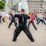 pokaz Tai Chi
