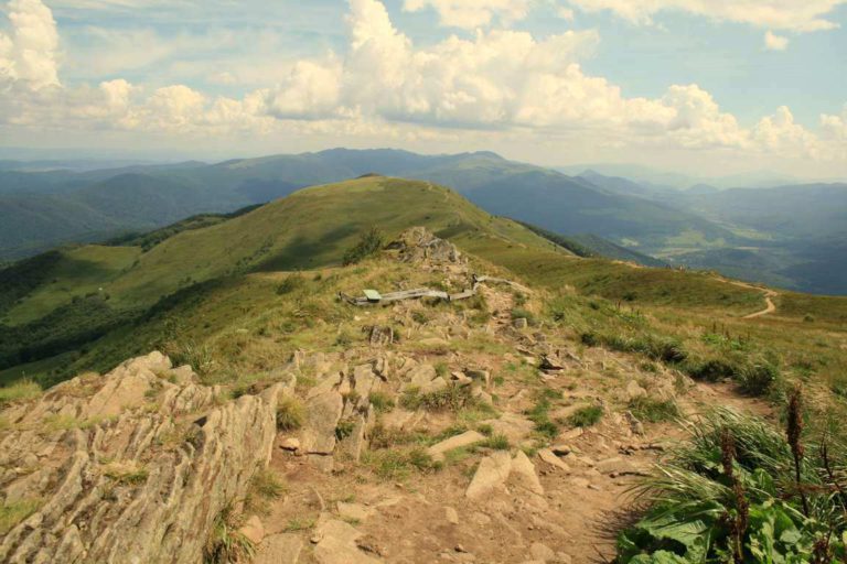 Zajęcia Tai Chi podczas wakacji