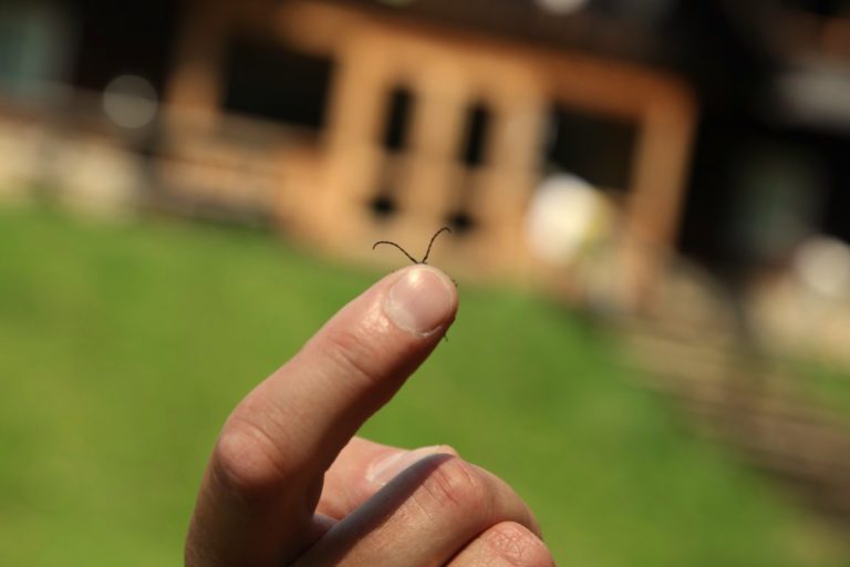 Zestawienie aktywności wrzesień 2025